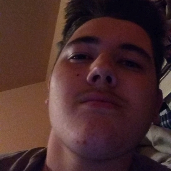 Meet your Posher, Camden - Picture 1 of 1